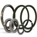 Dust Resistance FKM Double Lip Tc Skeleton Oil Seal